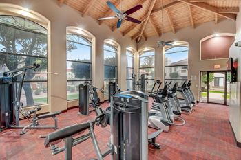 A gym with a variety of equipment including treadmills, weights, and a rowing machine.